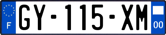 GY-115-XM