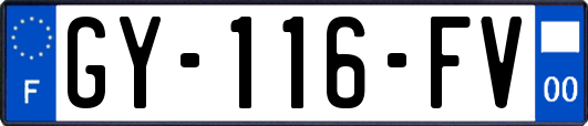 GY-116-FV