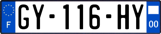 GY-116-HY
