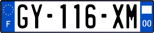 GY-116-XM