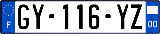 GY-116-YZ