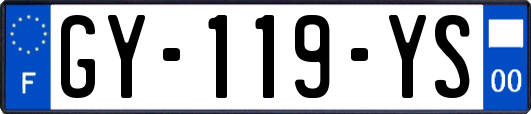 GY-119-YS