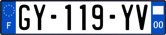 GY-119-YV