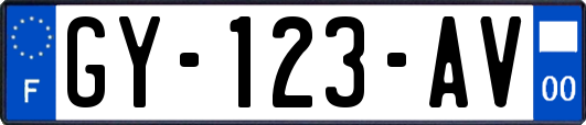 GY-123-AV