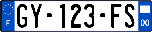 GY-123-FS