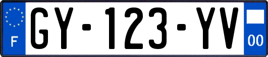 GY-123-YV
