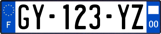 GY-123-YZ