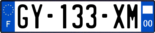 GY-133-XM