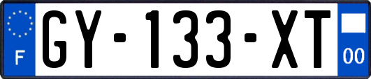 GY-133-XT