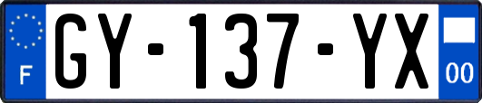 GY-137-YX