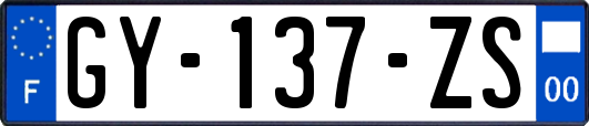 GY-137-ZS