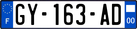 GY-163-AD