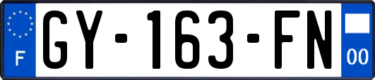 GY-163-FN