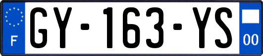 GY-163-YS