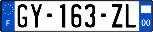 GY-163-ZL