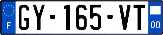 GY-165-VT