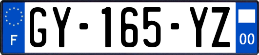 GY-165-YZ