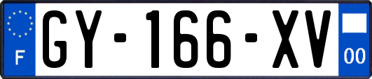 GY-166-XV