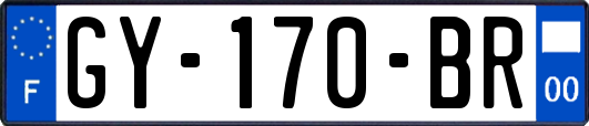 GY-170-BR