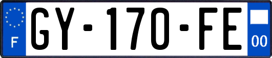 GY-170-FE