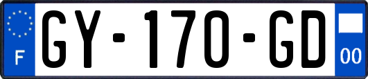 GY-170-GD