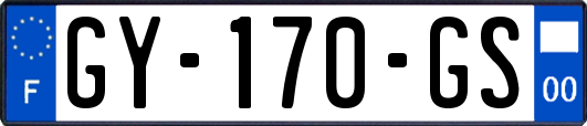 GY-170-GS