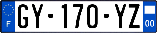 GY-170-YZ