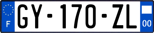 GY-170-ZL