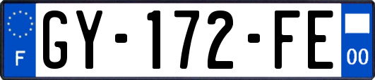 GY-172-FE