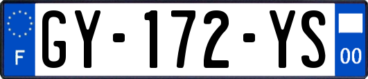 GY-172-YS
