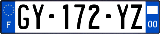 GY-172-YZ