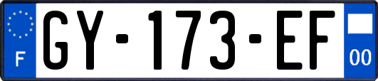 GY-173-EF