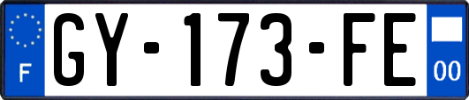 GY-173-FE