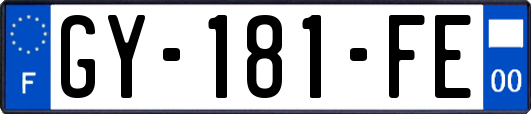 GY-181-FE