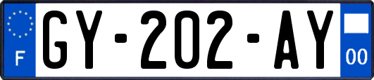 GY-202-AY