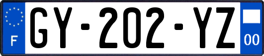 GY-202-YZ