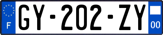 GY-202-ZY