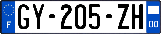 GY-205-ZH