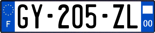GY-205-ZL