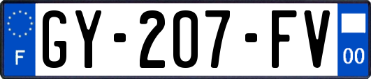 GY-207-FV