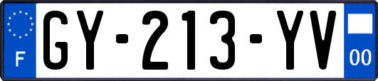 GY-213-YV