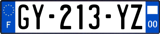 GY-213-YZ
