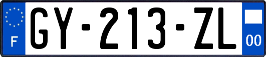 GY-213-ZL