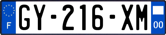 GY-216-XM