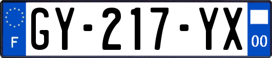 GY-217-YX