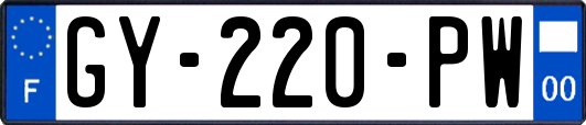 GY-220-PW