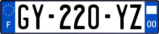 GY-220-YZ