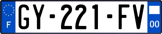 GY-221-FV