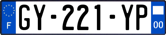 GY-221-YP