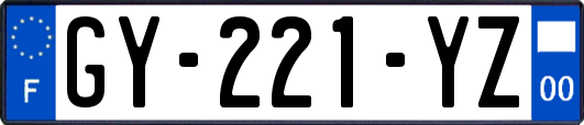 GY-221-YZ